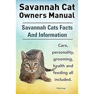 Savannah Cat Owners Manual. Savannah Cats care, personality, grooming, feeding and health all included.