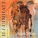 Anklicken zum Vergrößeren: Illuminate - Augenblicke (Audio CD)