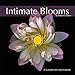 2015 Intimate Blooms Wall Calendar Trends International