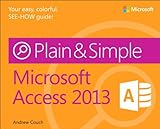 Microsoft Access 2013 plain & simple