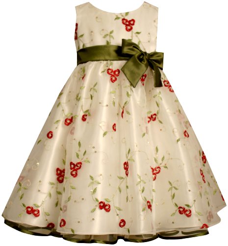 Bonnie Jean Girls 2-6x Sleeveless Embroidered Dress With Sequins