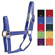Hamilton Halter Company 1q8-11 Quality Haltr Blk Av