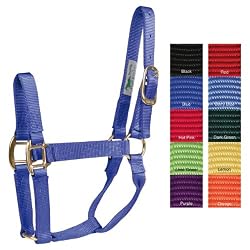 Hamilton Halter Company 1q8-11 Quality Haltr Blk Av