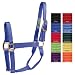 Hamilton Halter Company 1q8-11 Quality Haltr Blk Av