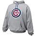 Nike Chicago Cubs Ash Pre-Game Hoody Sweatshirt