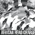Vision Ofa Psychedelic Africa