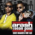 She Makes Me Go (Radio) [feat. Sean Paul]