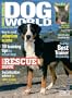 Dog World (2-year)