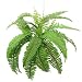 28 Leaves Realistic Boston Fern Bush Silk Plant Artificial 28t