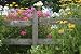 Preferred Perennial Plot