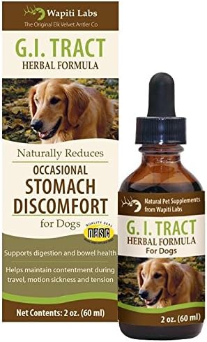 Wapiti Labs GI Tract Formula for Occasional Stomach Discomfort - 2 oz