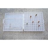 22 lr Ammo Box 100 Round .25 ACP 10/22 .22LR