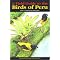 Favorite Peru Books