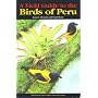 Field Guide to the Birds of Peru