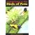 Field Guide to the Birds of Peru