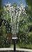 Smart Solar Sunjet 150 Solar Fountain Kit