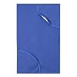 Rachael Ray Moppine Kitchen Towel - Blue