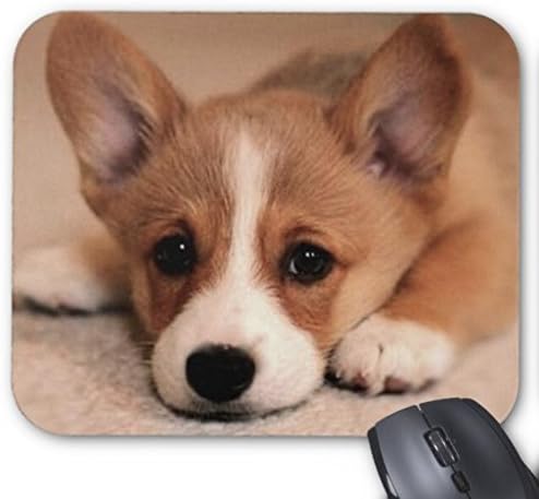 lisaKim Adorable Corgi Puppy Office&Gaming Rectangle Mouse Pad in 250mm*200mm*3mm