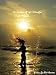 Books : On The Wings Of Life's Butterflys