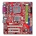 MSI P6NGM2-L Motherboard - NVIDIA GeForce 7050/610i, Socket 775, MicroATX, Audio, VGA, PCI Express, 10/100 Ethernet LAN, USB 2.0, Serial ATA, RAID