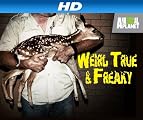play video on Amazon Prime