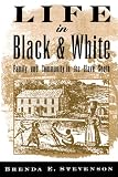 Life in Black and White: Family and Community in the Slave South