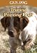 Training Pointing Dogs