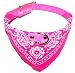 Bandana Dog Collar Pink, Small Neck Size 10