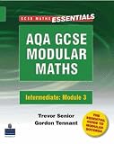 AQA Modular GCSE Modular Maths (GCSE Maths Essentials)