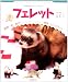�ե���åȡ���ưʪ�ӥ��ʡ��������� (SMALL ANIMAL POCKET BOOK SERIES)