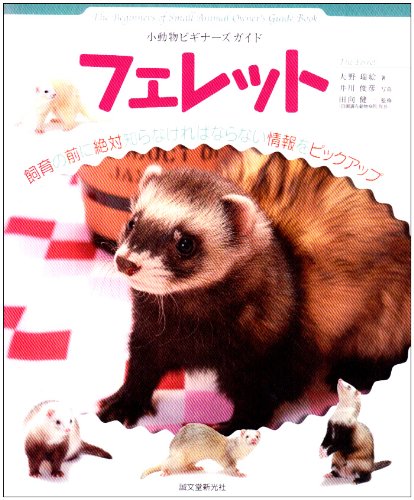 フェレット―小動物ビギナーズガイド (SMALL ANIMAL POCKET BOOK SERIES)