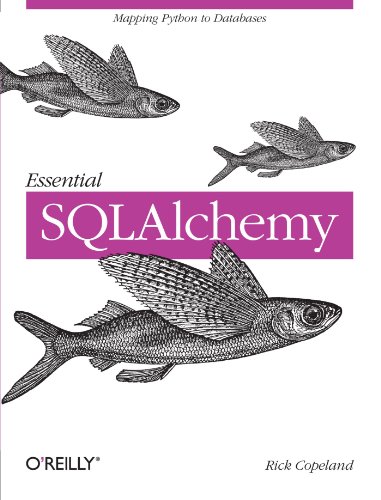 Essential SQLAlchemy 0596516142 pdf