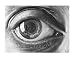 http://ecx.images-amazon.com/images/I/51W%2BWZ3-%2BxL._SL75_.jpg