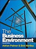 The business environment