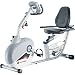 Schwinn 240 Recumbent Exercise Bike