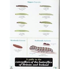 A guide to the caterpillars of the butterflies of Britain and Ireland (Aids to identification in difficult groups of animals and plants)