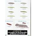A guide to the caterpillars of the butterflies of Britain and Ireland (Aids to identification in difficult groups of animals and plants)