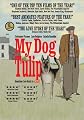 play video on Amazon Instant Video