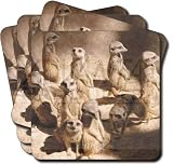 from Advanta Family of Meerkats Set of 4 Leather Coasters Table Gift