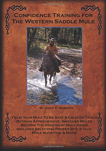 confidence training for the western saddle mule