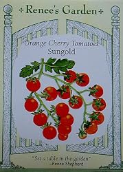 Cherry Tomato Orange Sungold Seeds