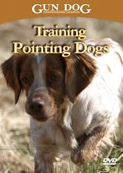 Training Pointing Dogs