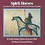 Spirit Horses (Concerto for Native American Flute and Chamber Orchestra)