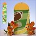 Sports Themed Wooden Children's Growth Chart