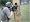 The Art of the Tactical Carbine