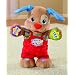 51W TV70LRL. AA75  Fisher Price Laugh & Learn Dance And Play Puppy