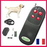 KIT COLLIER DE DRESSAGE ELECTRIQUE POUR CHIEN