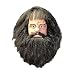 Harry Potter Hagrid Deluxe Adult Latex Mask