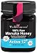 Wedderspoon Raw Manuka Honey Active 12+, 8.8-Ounce Jar
