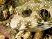 Closeup of a White Spotted Puffer Fish, Malapascua Island, Philippines Photographic Poster Print by Tim Laman, 12x9